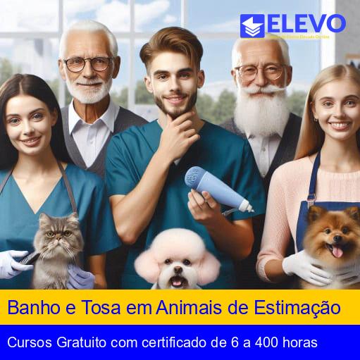melhor curso de banho e tosa do brasil