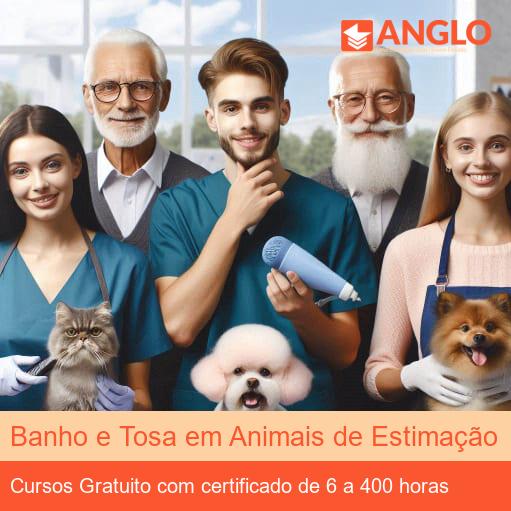 formação groomer presencial sp