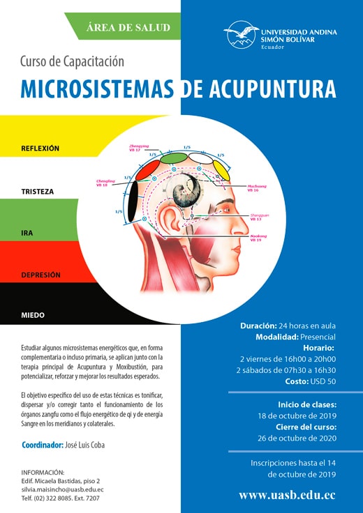 Curso De Acupuntura