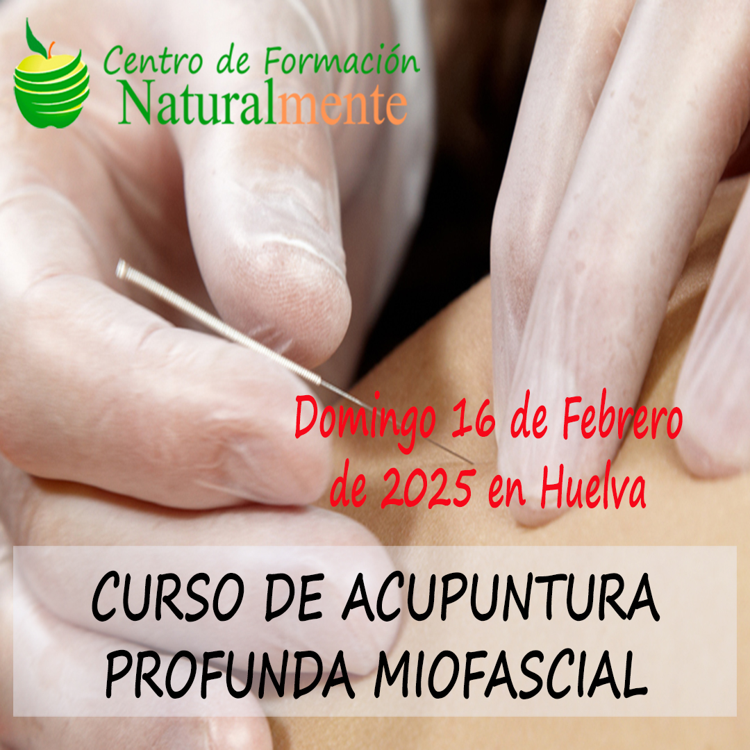 Guia Completo: Como Escolher o Melhor Curso de Acupuntura para Você