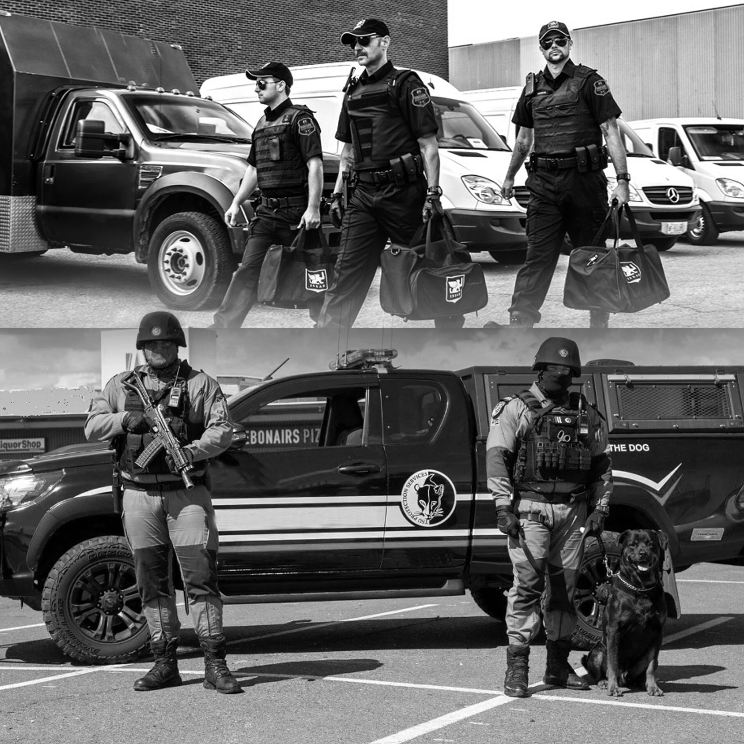 Como Escolher a Melhor Escola de Vigilantes