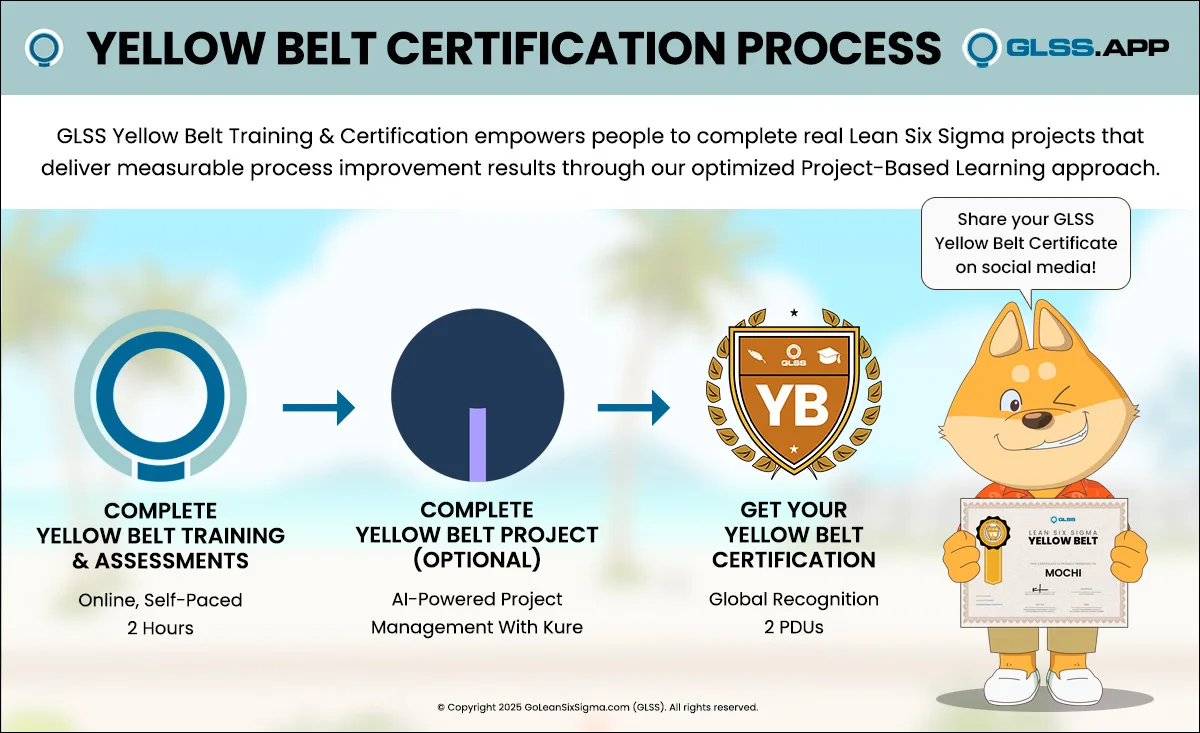 Mercado de trabalho para profissionais com certificação Yellow Belt