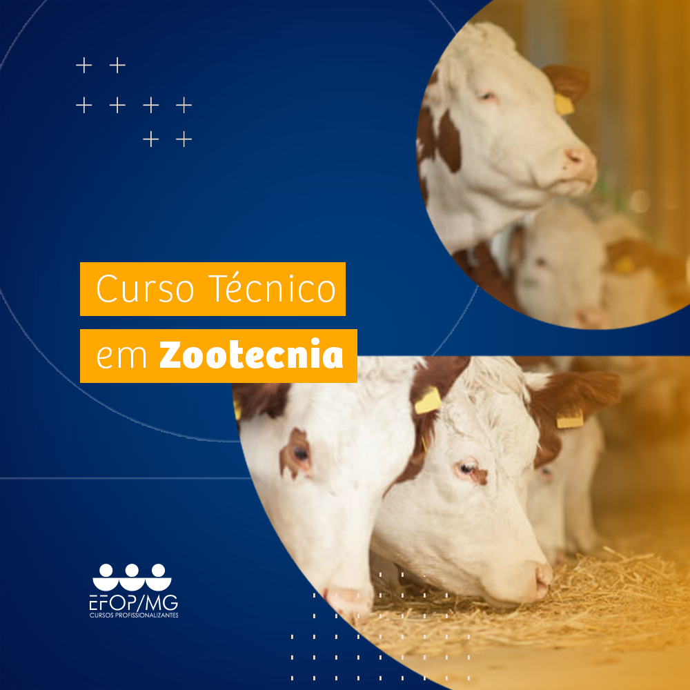 o que faz um zootecnista