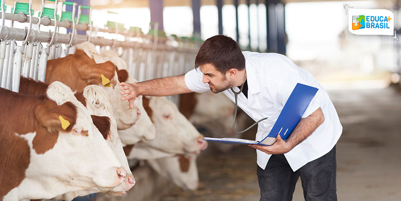 faculdade de zootecnia