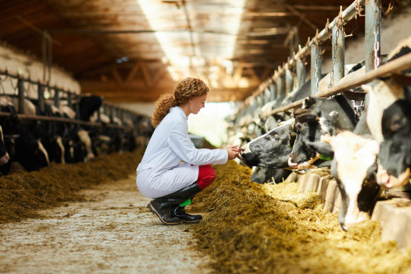 faculdade de zootecnia