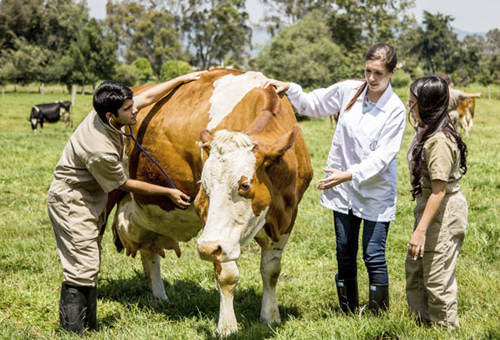 carreira em zootecnia