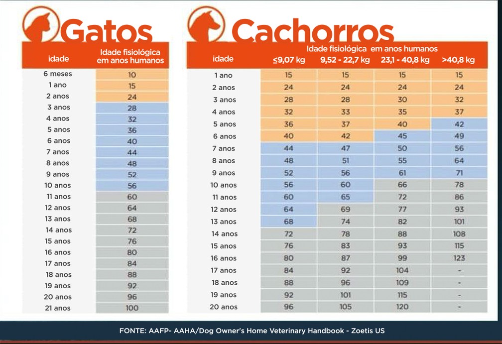 custos de vida cachorro por idade humana