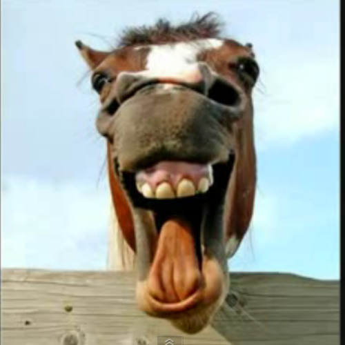 Como a gargalhada fortalece laços sociais?