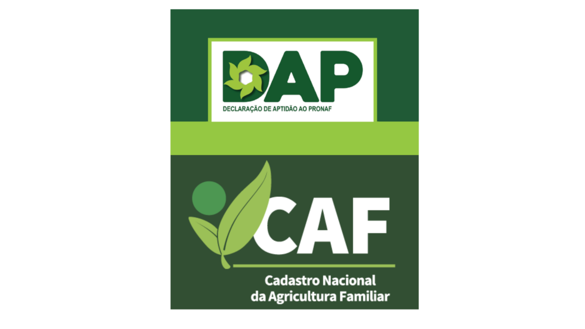 Políticas Públicas para Agricultores Familiares: O Papel do CAF