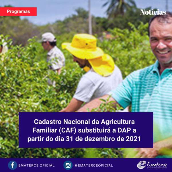 Documentos Essenciais para o CAF: O Que Você Precisa Preparar