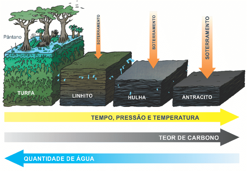 1. Carvão Mineral vs. Vegetal: Entenda as Diferenças Essenciais
2. A Fascinante Formação do Carvão Mineral: Uma Viagem ao Período Carbonífero
3. Carvão Vegetal: O Combustível Sustentável para o Seu Churrasco
4. Usos Industriais do Carvão: Da Siderurgia à Geração de Energia
5. Qual o Melhor Carvão para Churrasco? Guia Completo