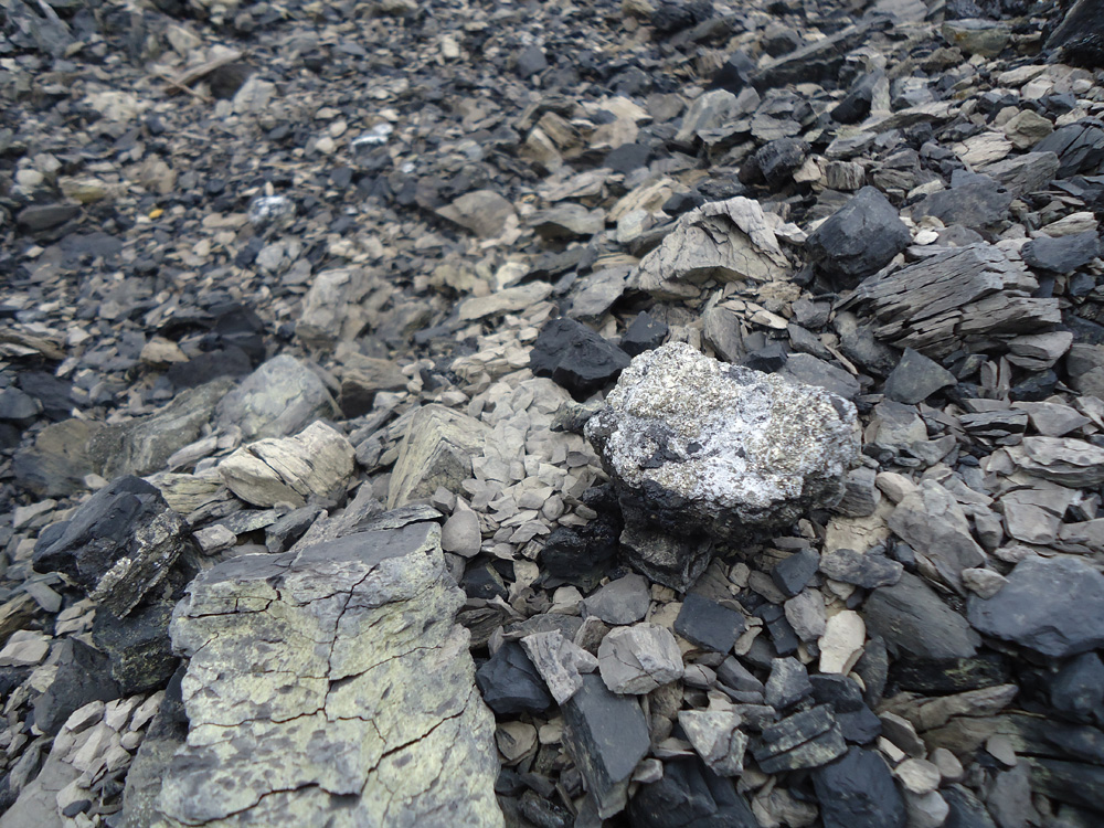 De Onde Vem O Carvão