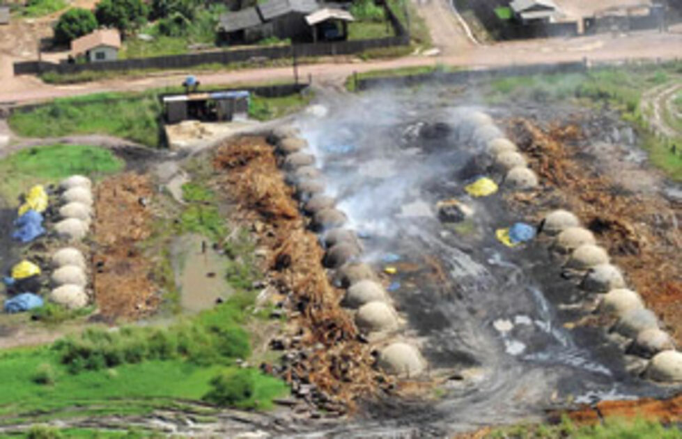 1. Carvão Mineral vs. Vegetal: Entenda as Diferenças Essenciais
2. A Fascinante Formação do Carvão Mineral: Uma Viagem ao Período Carbonífero
3. Carvão Vegetal: O Combustível Sustentável para o Seu Churrasco
4. Usos Industriais do Carvão: Da Siderurgia à Geração de Energia
5. Qual o Melhor Carvão para Churrasco? Guia Completo