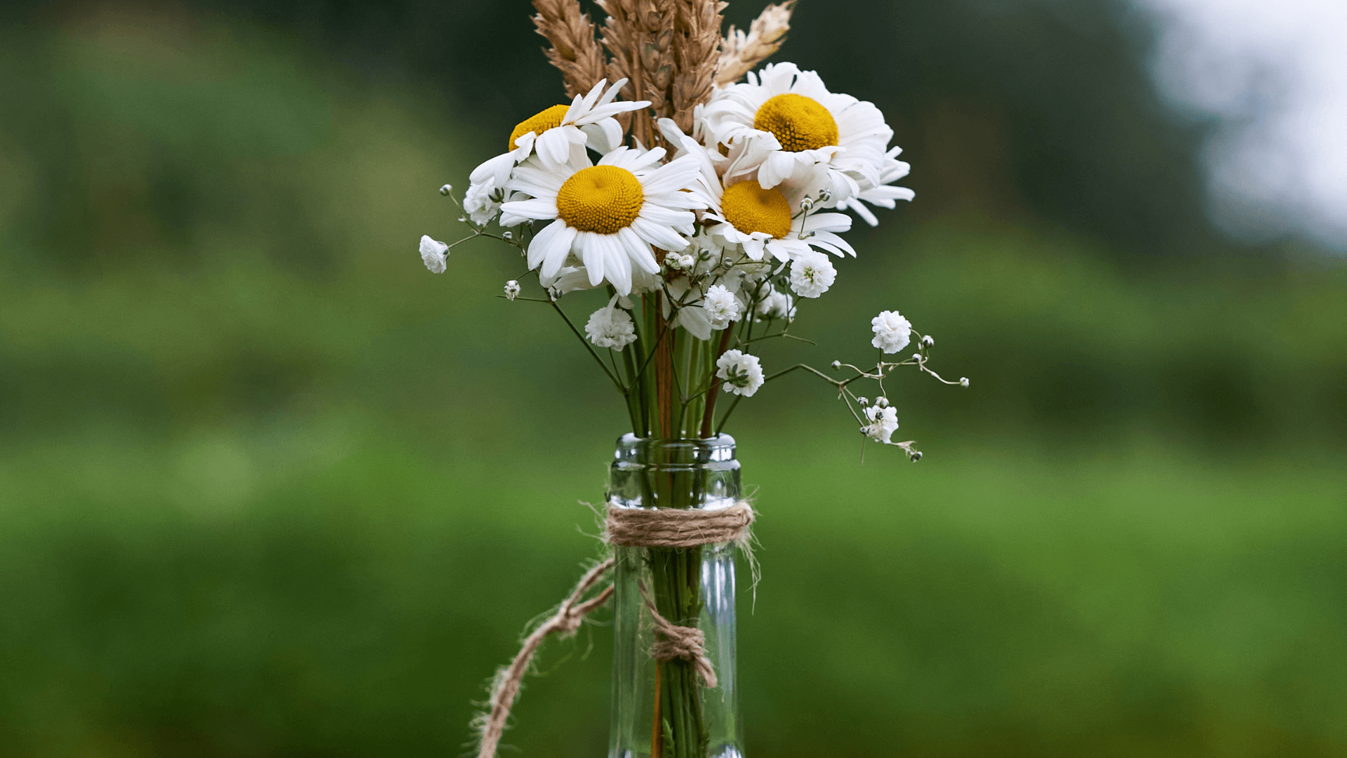 Materiais Essenciais para Artesanato com Garrafas