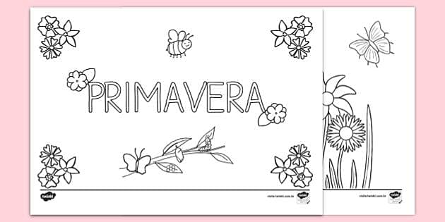 desenhos de borboletas primavera