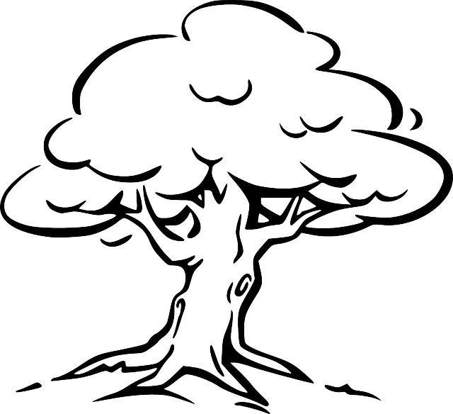 desenho de arvore para colorir de outono