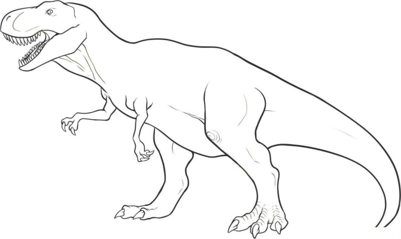 desenhos de Triceratops para colorir