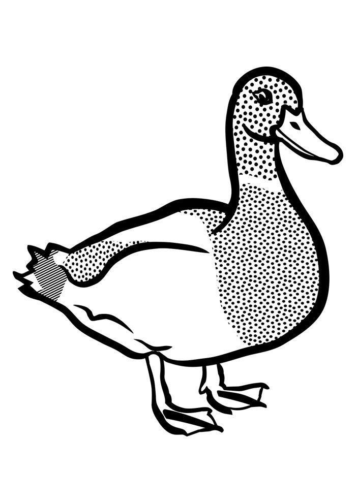 desenho de pato em aquarela para imprimir