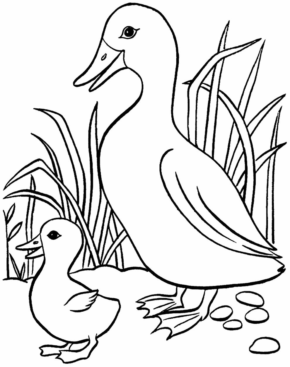 patos para imprimir e pintar