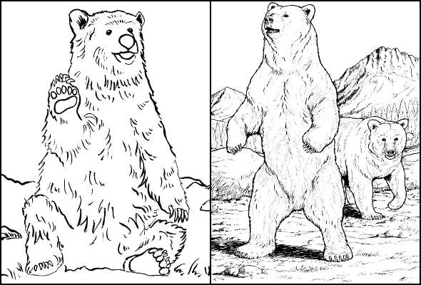 desenho de urso polar para colorir