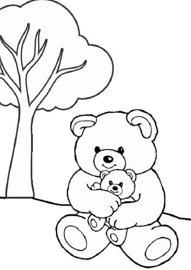 desenho de urso vs desenho de outro animal para colorir