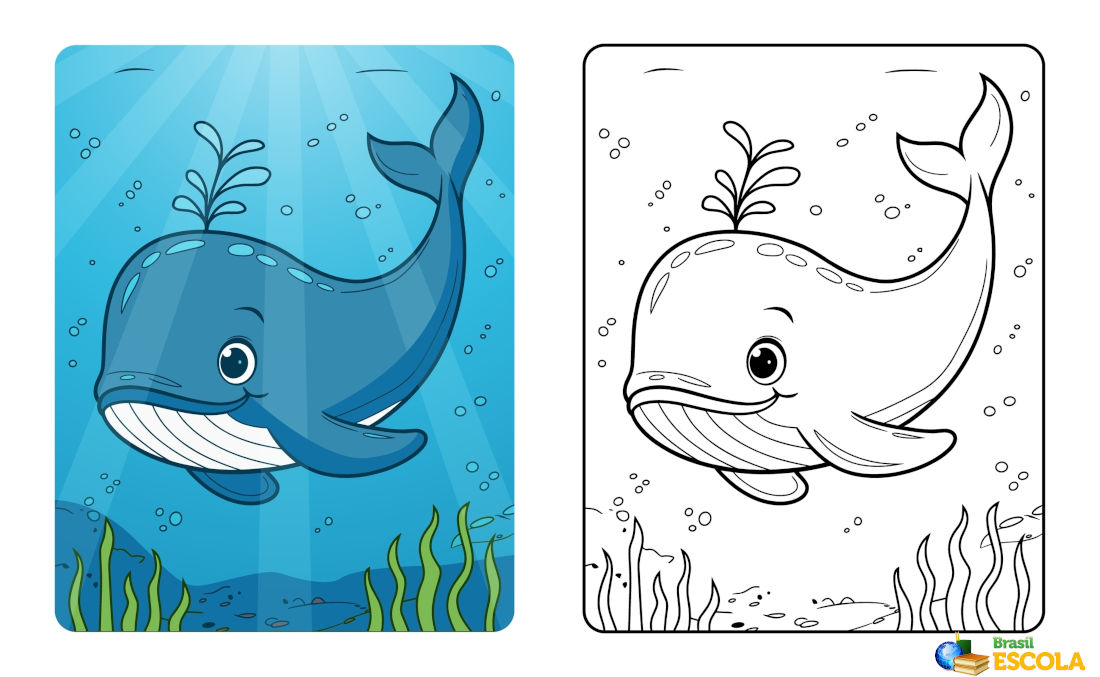 desenho de baleia para pintar