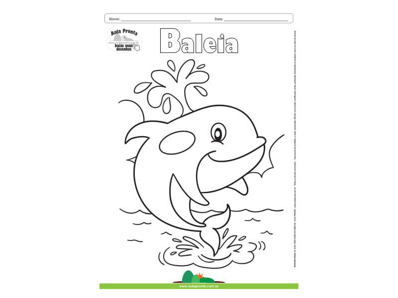 desenho de beluga para colorir