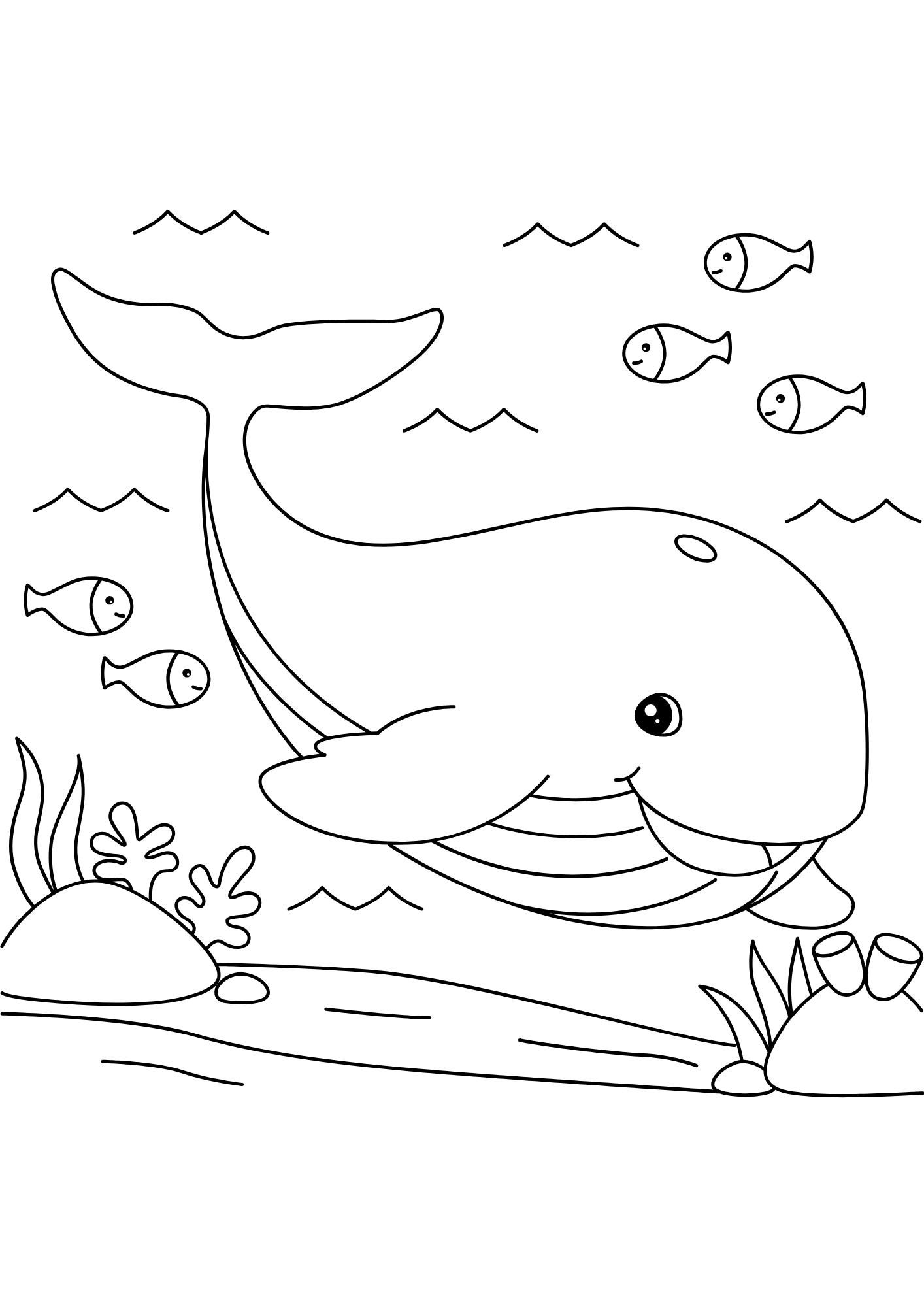 desenhos de baleias grandes para colorir