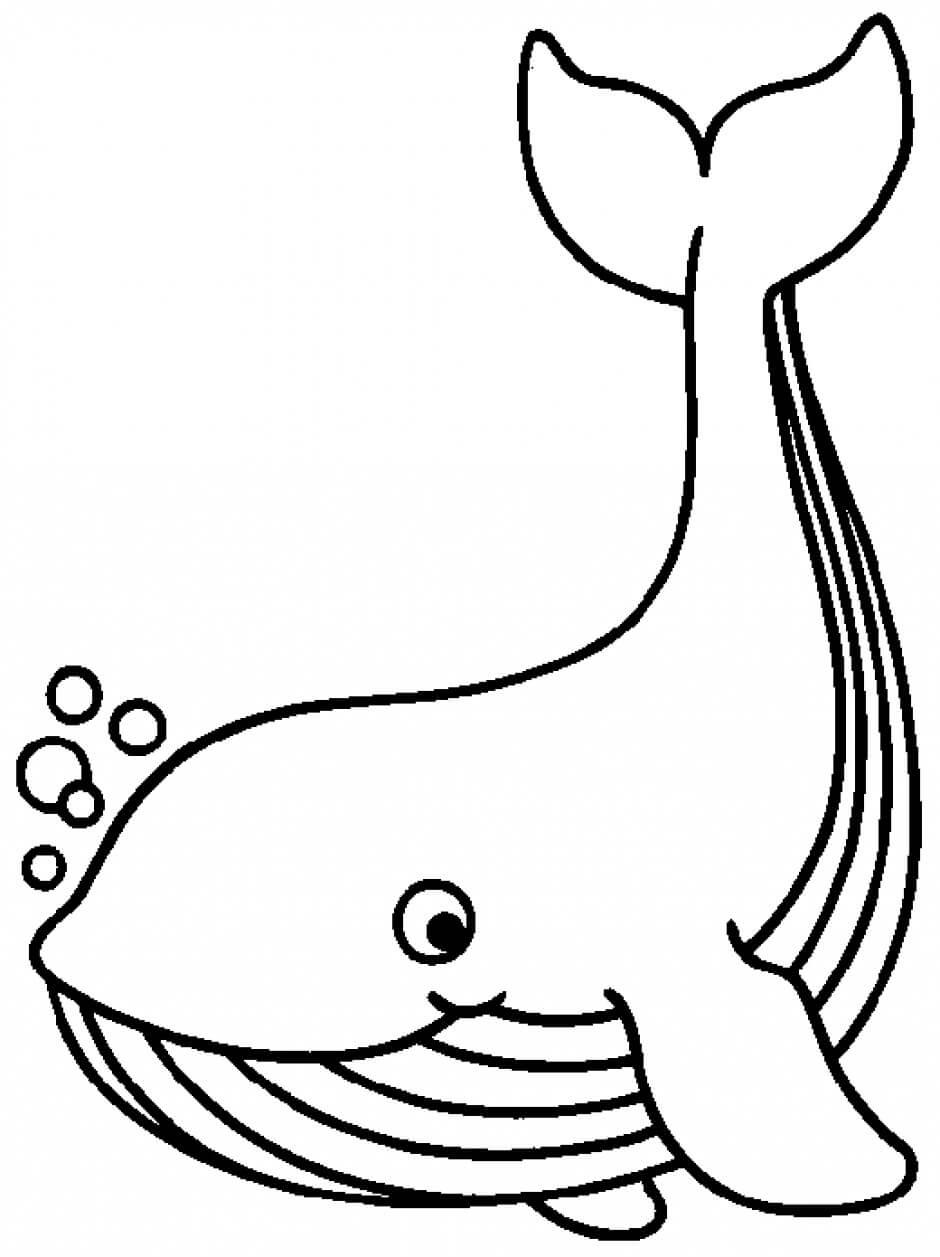 desenhos de baleias realistas para colorir