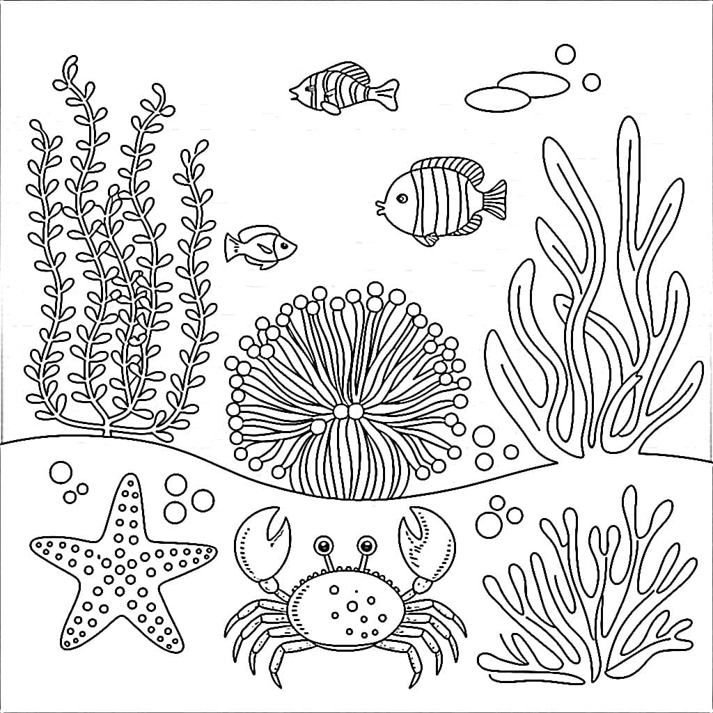 desenho fundo do mar para colorir com tesouro