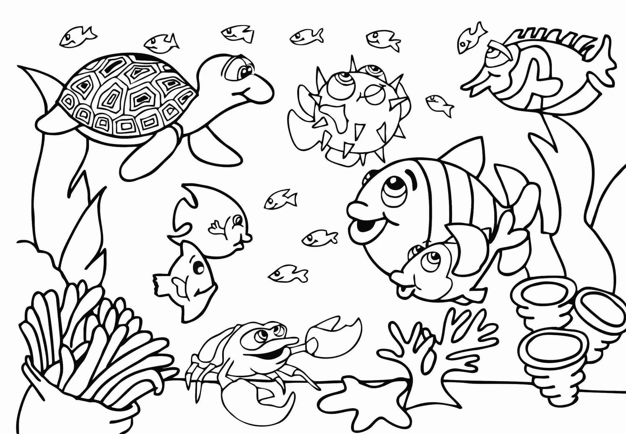 desenho fundo do mar para colorir com golfinho
