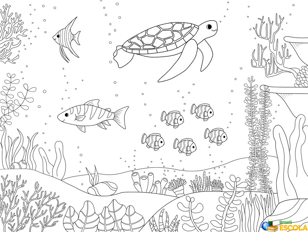 desenho fundo do mar para colorir com caranguejo