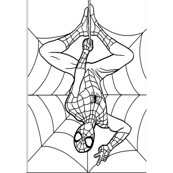 desenho homem aranha 3 para imprimir