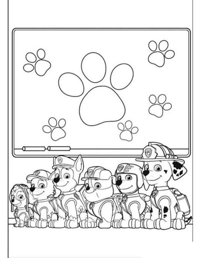 patrulha canina desenhos para colorir pdf