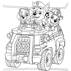 cores dos personagens patrulha canina