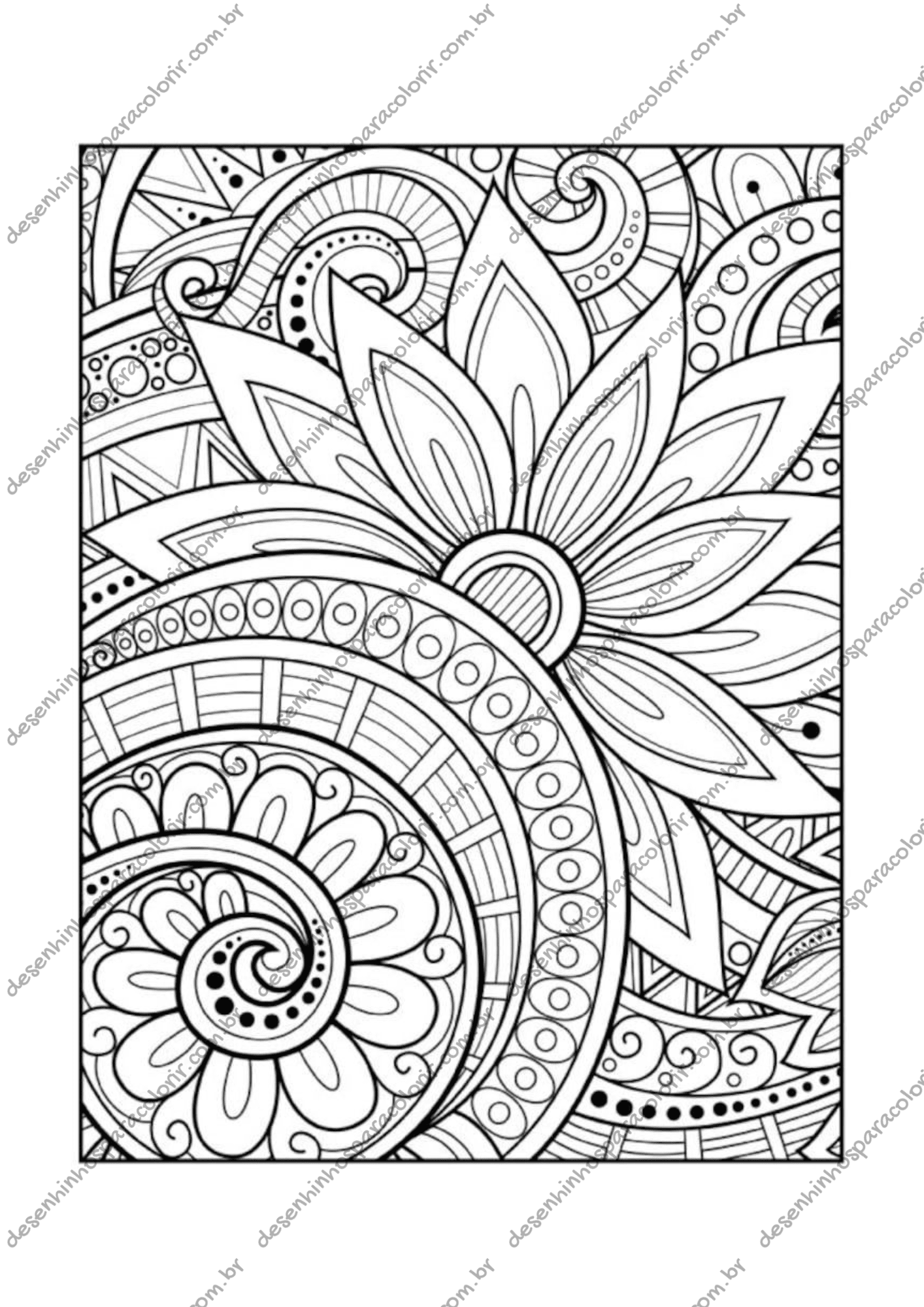 livro de colorir para relaxar