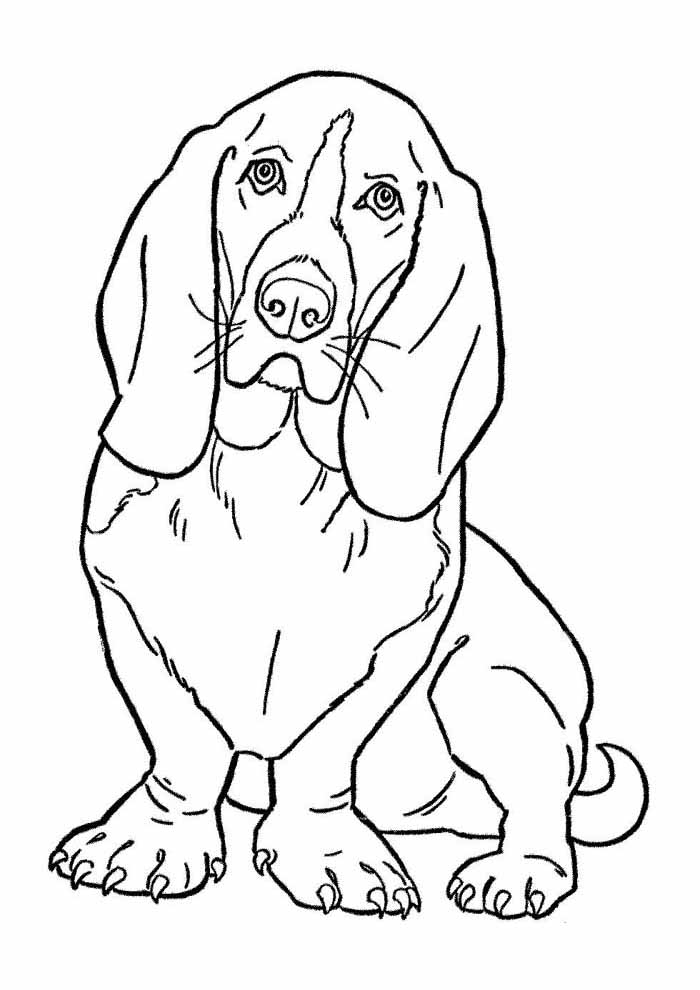 desenhos de cachorros realistas para colorir