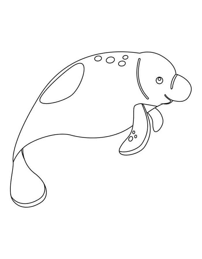 erros comuns ao colorir desenhos de animais