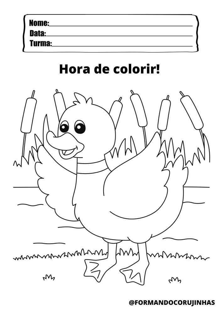 desenhos de animais da floresta amazônica para colorir
