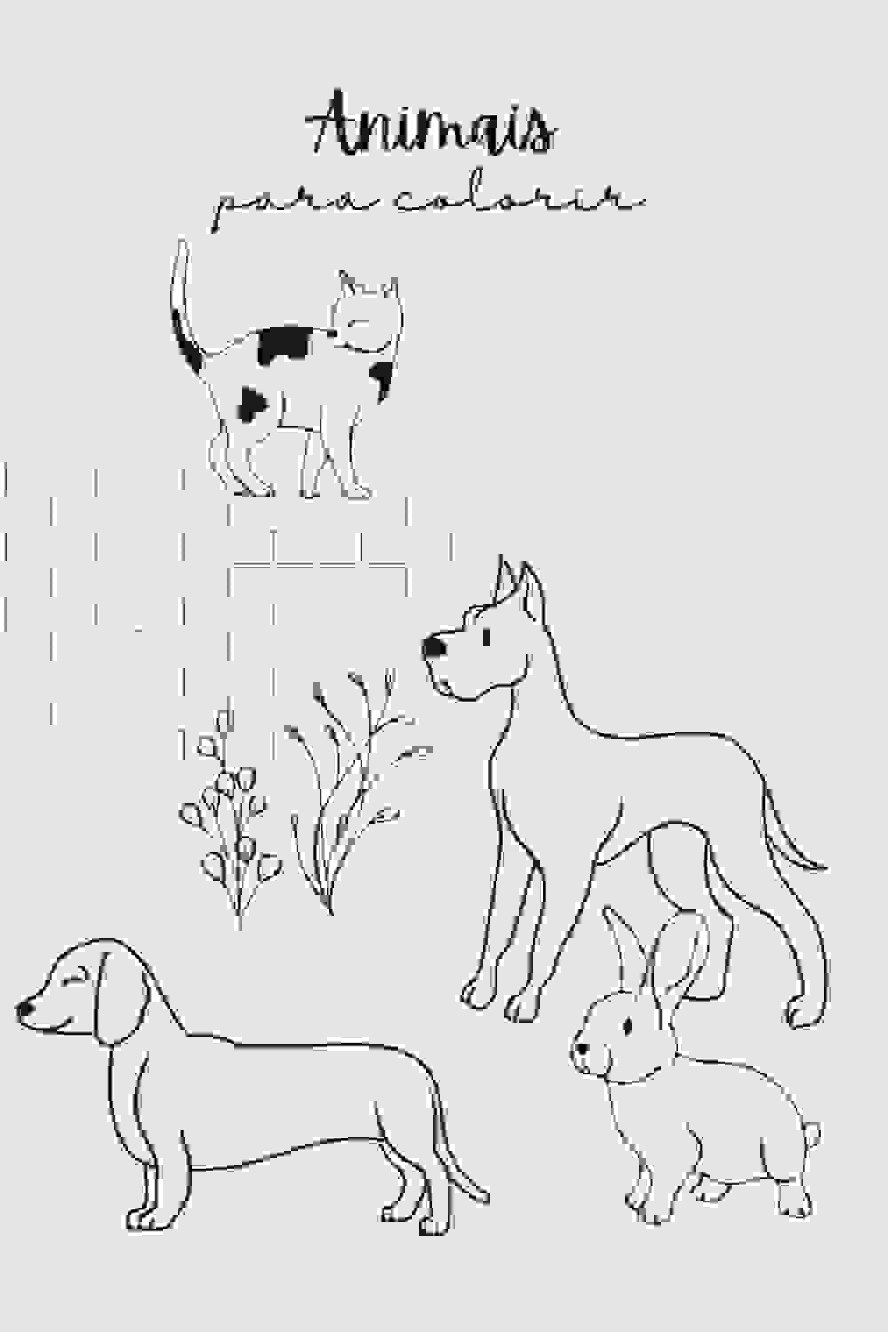 desenhos para colorir de animais