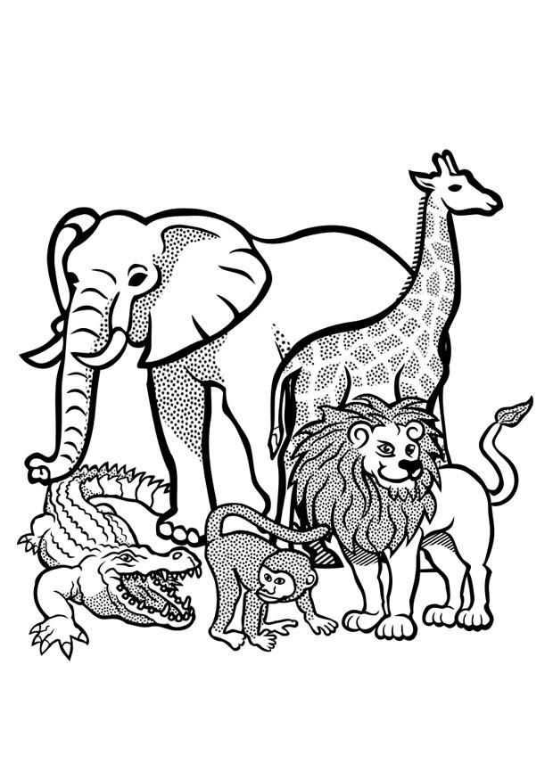 desenhos de animais para crianças pequenas