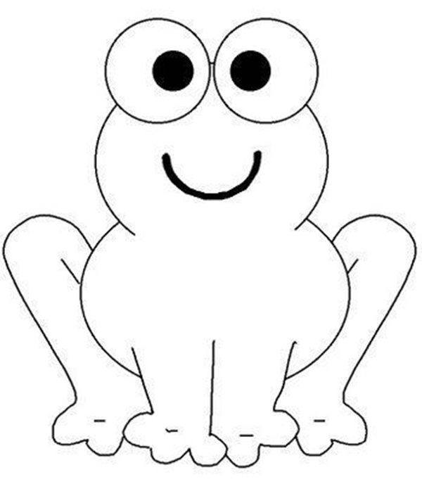 onde comprar livros de colorir animais baratos