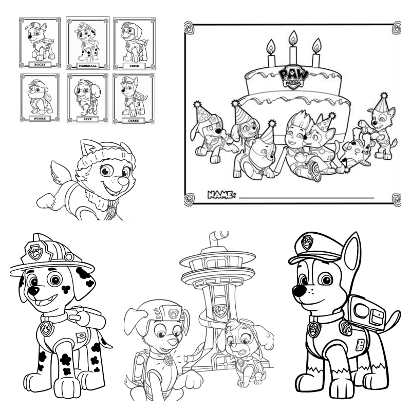 desenhos para colorir patrulha canina pdf