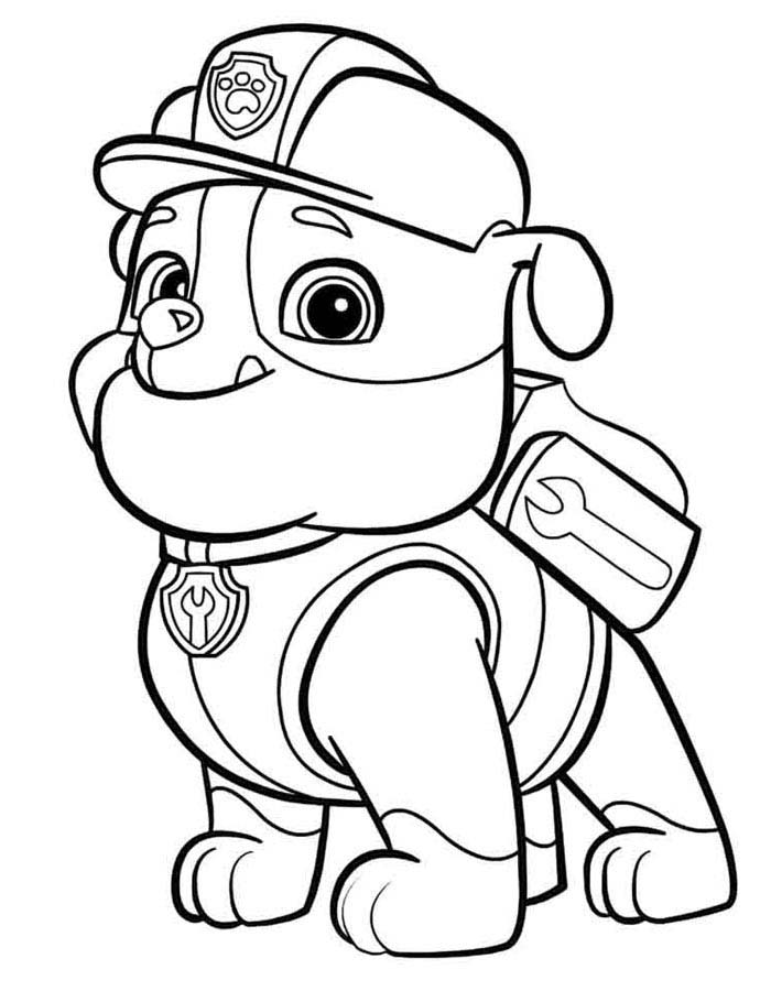 erros comuns ao baixar desenhos patrulha canina pdf