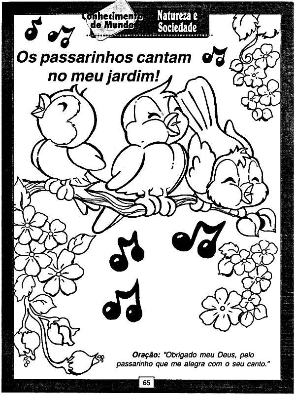 desenhos de animais para colorir primavera