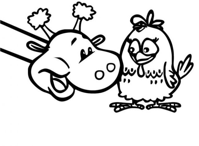 desenhos da galinha pintadinha para imprimir