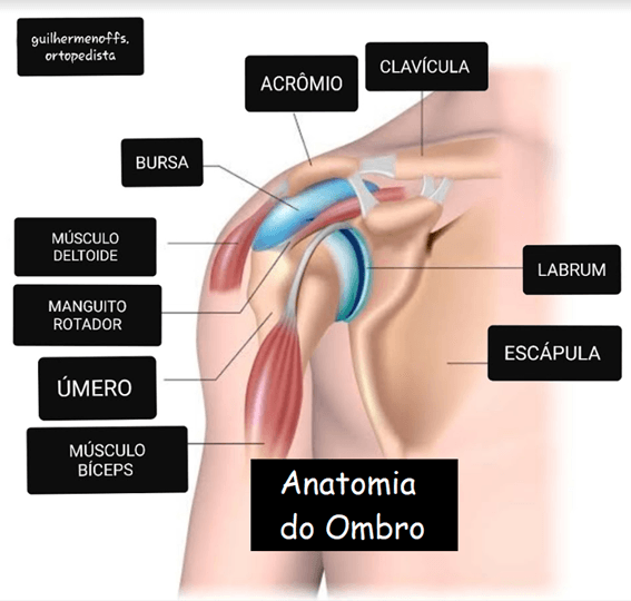 Prevenção de Luxação no Ombro: Dicas para Fortalecer a Articulação