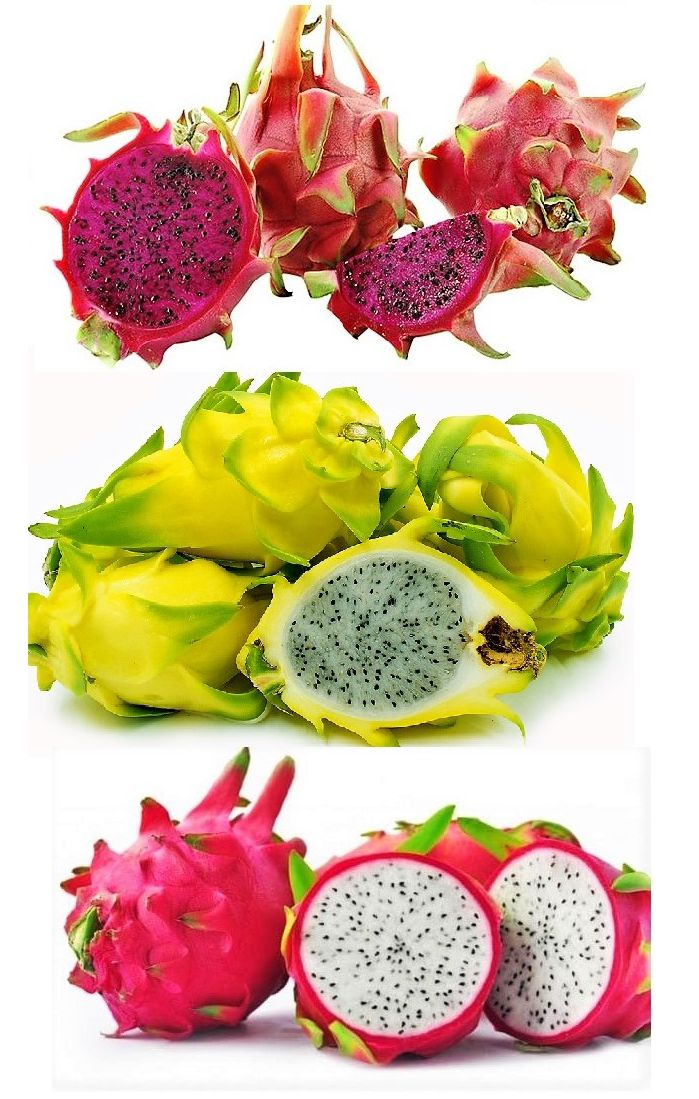 Dez Beneficios Da Pitaya