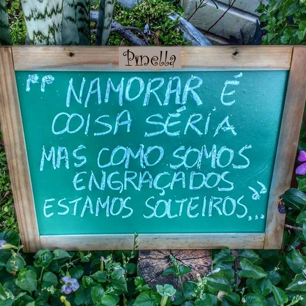 Dia Do Solteiro 15 De Agosto