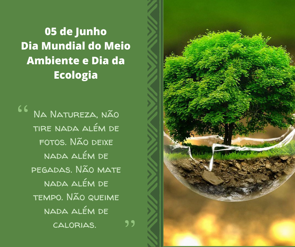 5 ideias de títulos:
1. Descubra as Datas Nacionais de Conscientização: Meio Ambiente e Saúde
2. Mudanças Climáticas: A Importância do Dia Nacional de Conscientização
3. Doenças de Pele: Entenda o Dia Nacional de Conscientização sobre Dermatite Atópica
4. Saúde Renal em Foco: O Novo Dia Nacional de Conscientização
5. Doenças Reumáticas: Conheça o Dia Nacional de Conscientização e Tratamentos